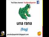 حیوانات در زبان اسپانیایی