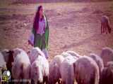 آهنگ افغانی | فریدون انگار - خانوم جان