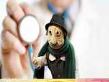  آددای  دنبال یک دکتر خوب!!! - طنز عروسکی آددای با لهجه شیرین همدانی