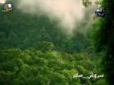 سفر آهنگ با اجرای سروش