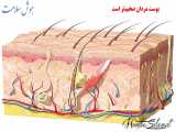 8 خطر استفاده از محصولات  مردانه توسط زنان