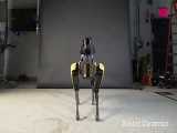 تکنولوژی - رقص ربات اسپات از شرکت بوستون دینامیک