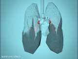 تاثیرات آلودگی هوا بر بدن چیست؟