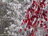 زمستان ایران را با کیفیت 4k ببینید