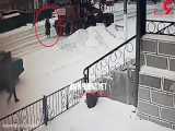 گیر افتادن پیرزن روسی زیر برف روب / زنده ماندن معجزه آسا