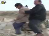 خبرنگار سوار بر خر