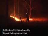 تصاویری از آتش سوزی گسترده در استرالیا 