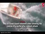 فیلم مهیج از نجات موج سوار از حمله کوسه سفید