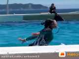 هنرنمایی زن شناگر با نهنگ قاتل