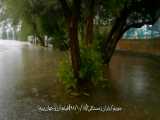  جویم_بارندگیجویم-باران زمستانی(خیابان مسجد النبی)۱۵ دیماه ۹۸فیلم: آرزو جهان پ