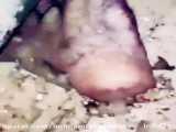 شعر ترکی حاج قاسم سلیمانی