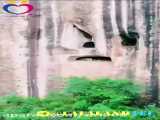 شادی زیبارا در طبیعت