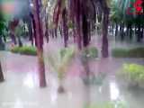 پارک آزادگان بندرعباس غرق در آب شد