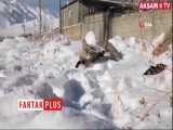 انجماد یک روباه در ترکیه به دلیل سرمای سیبری! 