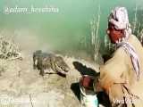 رفيق تمساح هاى گاندو رودخانه سرباز سيستان و بلوچستان