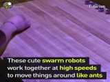 طراحی ربات های کوچکی که به صورت گروهی می توانند کارهای بزرگی بکنند