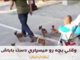 حیوانات خنده دار قسمت اول