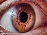 سابلیمینال چشمان رنگی دارچین