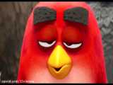 انیمیشن پرندگان خشمگین 2 | 2 Angry Birds با دوبله فارسی و کیفیت 1080p