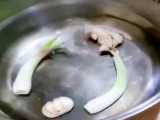 سگ‌ها صادق هستند