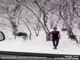 بارش برف سنگین و هجوم گرازهای گرسنه به حاشیه جاده! کوهمره استان فارس