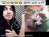 گربه اعظم خانوم خخخخخ