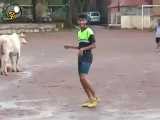گاو فوتبالیست توپ گرفته به کسی نمیده فوتبال حیوانات
