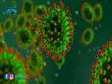 ویروس کرونا درحال گسترش است مراقب باشید