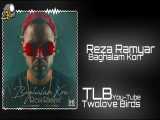 Reza Ramyar - Baghalam Kon (Official Track) آهنگ جدید رضا رامیار به نام بغلم کن
