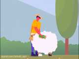چرا بهتر است پشمچین برقی گوسفندی بخریم؟