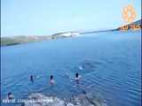شنا کردن در سد علویان مراغه