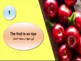 سه جمله برای توصیف میوه ها_آیلتس_آموزش زبان انگلیسی 