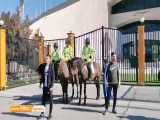 اختصاصی/ گزارش خبرنگار نود از حضور  پلیس اسب سوار در ورزشگاه آزادی برای دربی پای
