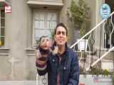 فردا صبح