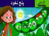 پنج نخود | داستان های فارسی | قصه های کودکانه |