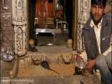 معبد موش پرست ها در هند 3 Rat Temple - Animal Underworld با کیفیت SUPER HD