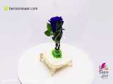 گل رز جاودان آبی فلاورشاپ-به روز رسان