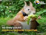 دنیای حیوانات | دوستی و زندگی جالب با یک سنجاب