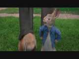 انیمیشن کمدی ماجراجویی پیتر خرگوشه(Peter Rabbit)دوبله فارسی 