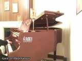 پیانو نوازی آهنگ من هم گریه کردم انوشیروان روحانی (آموزش پیانو-پیانو ایرانی-ارگ)