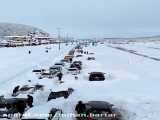 فیلمی از بارش ۱ متری برف و گرفتاری خودروها در رشت