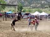مسابقه اسب‌دوانی با اسب وحشی