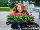 اینم دافنه در عشق اجاره‌ای