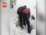 گیرکردن گوسفندان زیر برف پس از بارش های سنگین چند روز اخیر! 