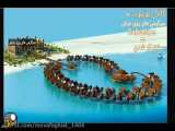 10 اطلاعات در مورد عقرب ها