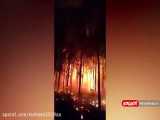 آتش‌سوزی گسترده در پارک جنگلی تایلند