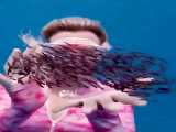 دنیای حیرت انگیز زیر آب و بازی با ماهی ها
