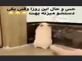 تغییر دهنده عنوان