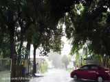 20 دقیقه پیاده روی در هوای بارانی اطراف ویلایی در فیلیپین