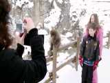 میمون های برفی در چشمه های آب گرم ژاپن